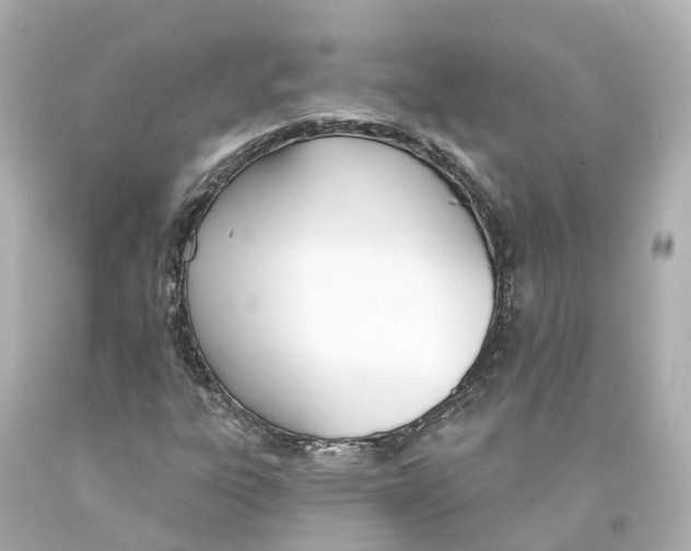X0000093091303200710241152