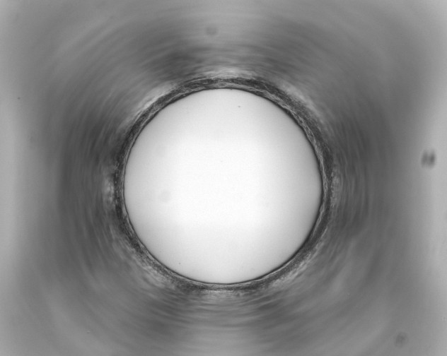 X0000093091305200710241152