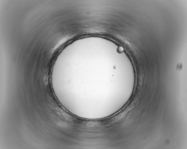 X0000093091306200710241152