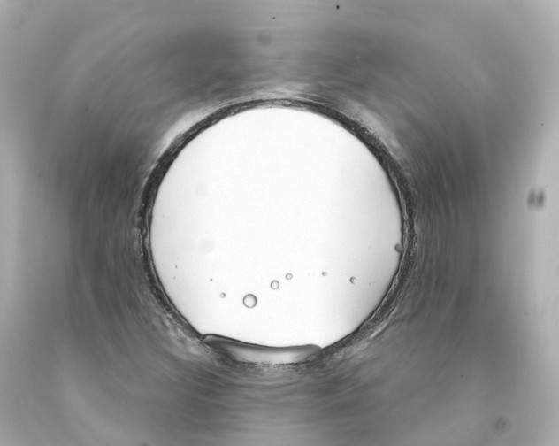 X0000093091308200710241152