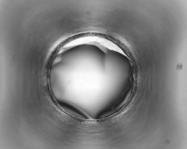 X0000093091310200710241152