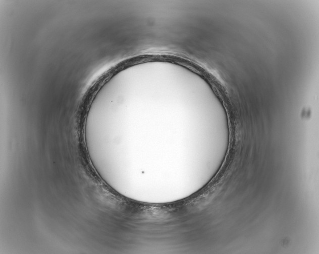 X0000093091311200710241152