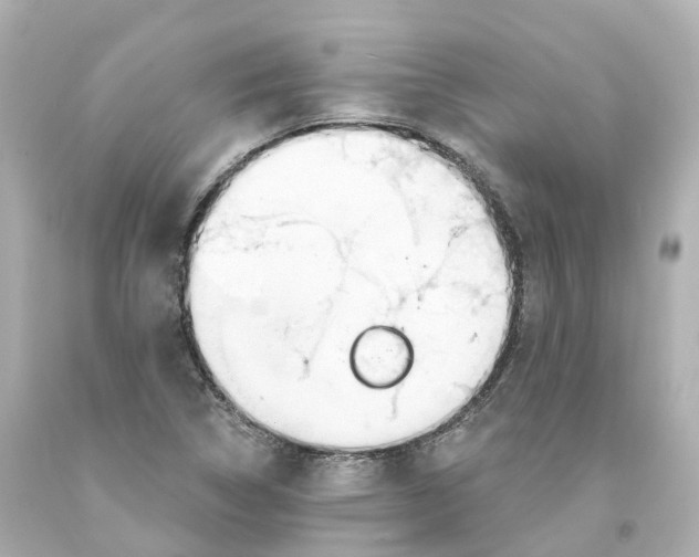 X0000093091314200710241152