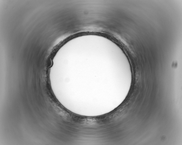 X0000093091315200710241152