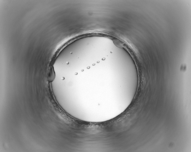 X0000093091316200710241152