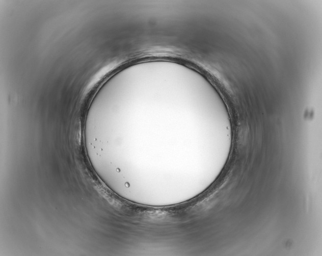 X0000093091317200710241152
