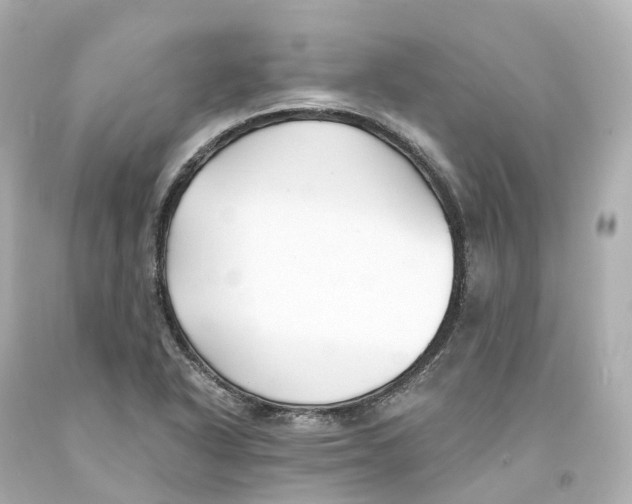 X0000093091318200710241152
