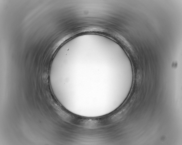 X0000093091321200710241152