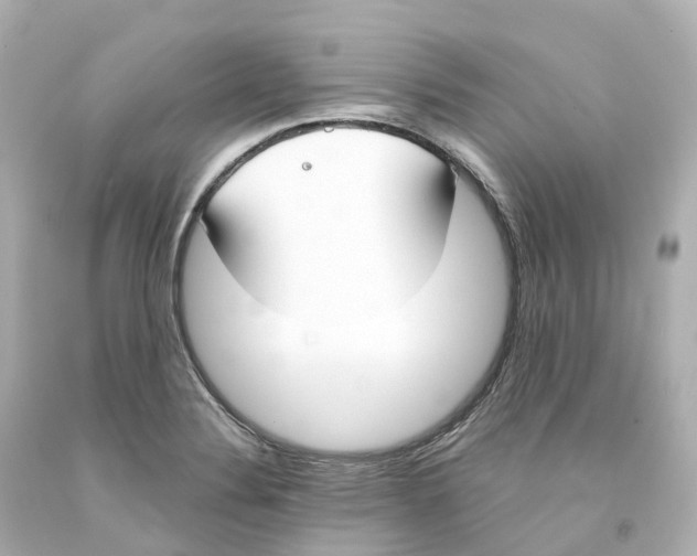 X0000093091324200710241152
