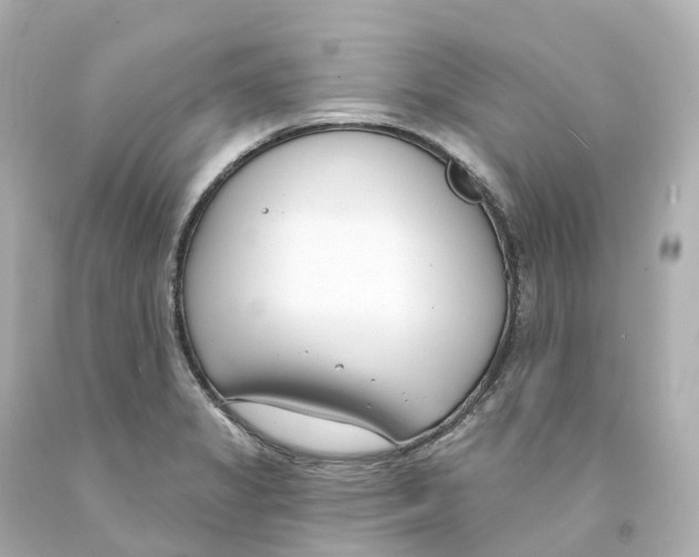 X0000093091325200710241152