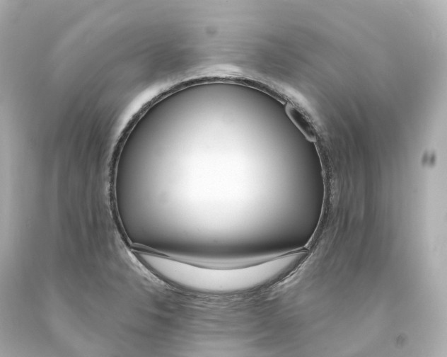 X0000093091326200710241153