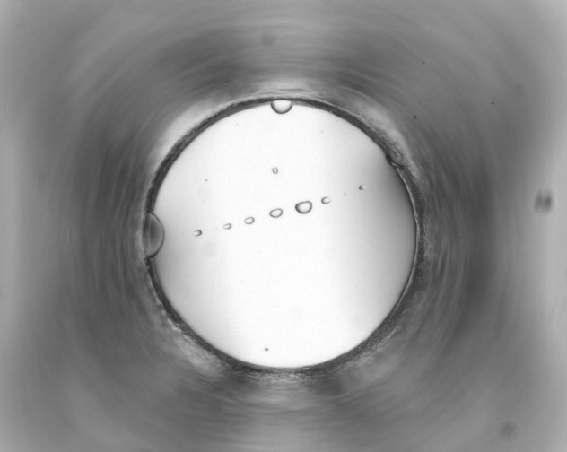 X0000093091328200710241153