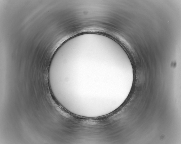 X0000093091329200710241153