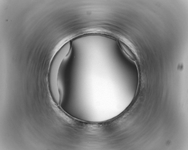 X0000093091330200710241153