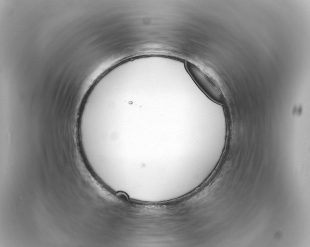 X0000093091333200710241153