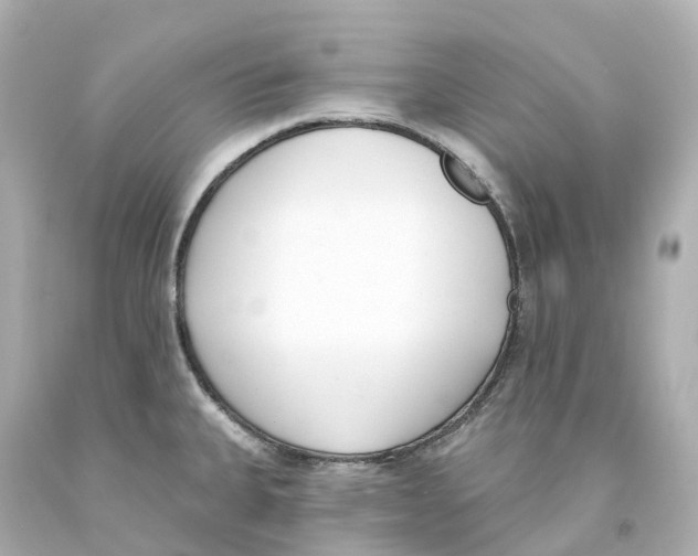 X0000093091335200710241153