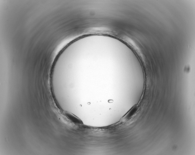 X0000093091336200710241153