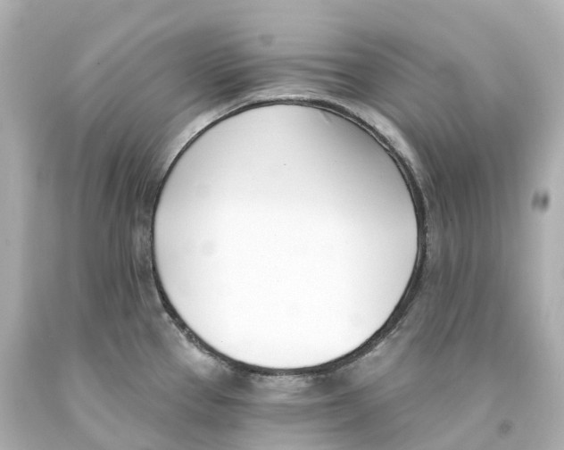 X0000093091337200710241153