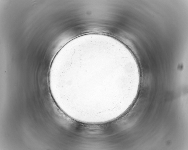 X0000093091338200710241153