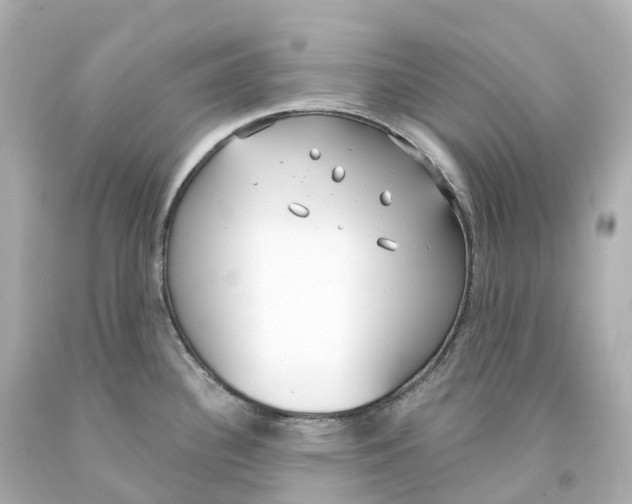 X0000093091340200710241153
