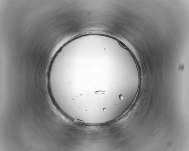 X0000093091341200710241153