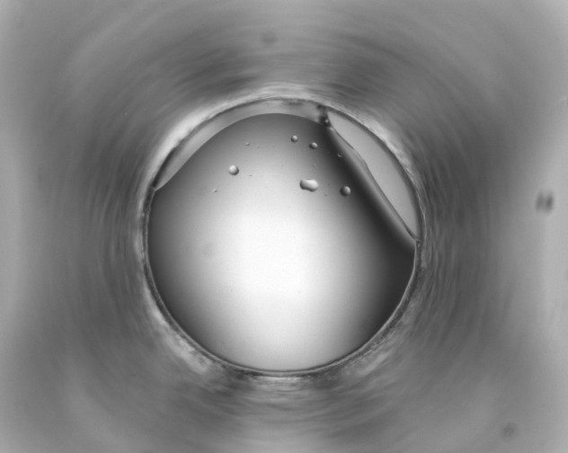 X0000093091342200710241153