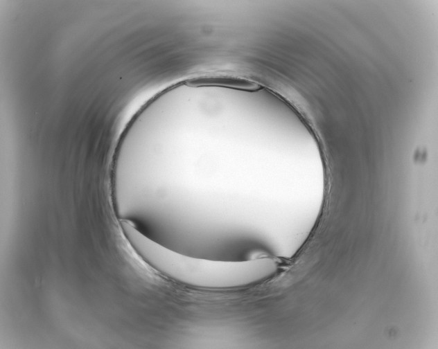 X0000093091344200710241153
