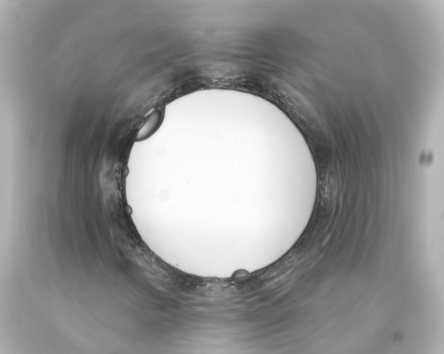 X0000093091346200710241152