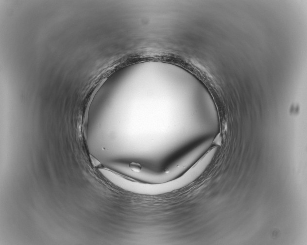 X0000093091348200710241152