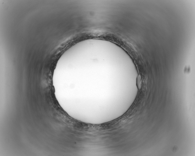 X0000093091349200710241152