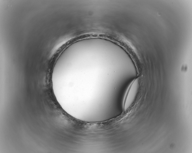 X0000093091352200710241152
