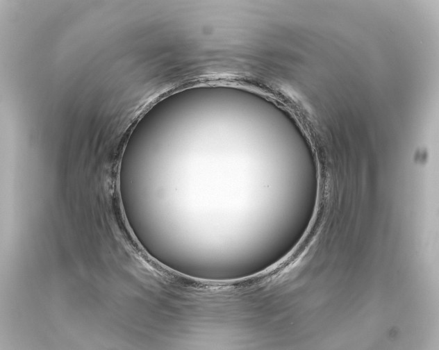 X0000093091353200710241152