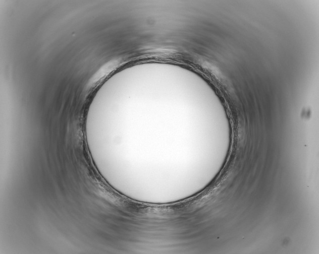 X0000093091354200710241152