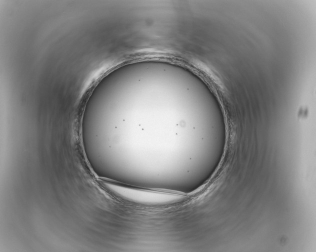 X0000093091357200710241152