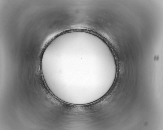 X0000093091358200710241152