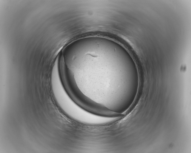 X0000093091361200710241152