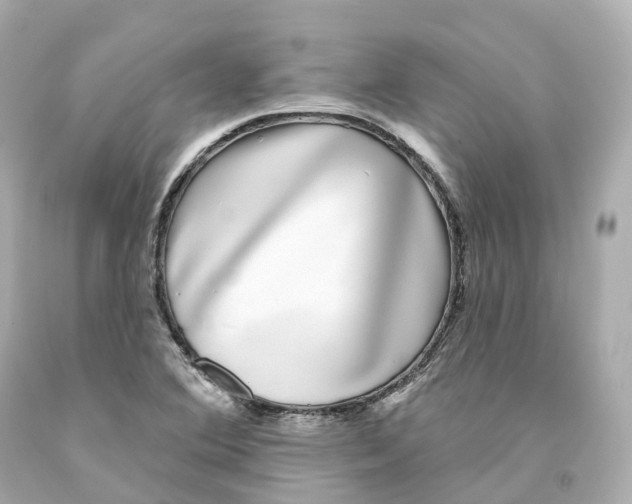 X0000093091364200710241152