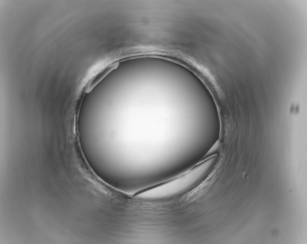 X0000093091365200710241152