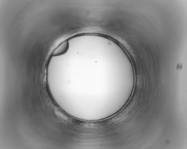 X0000093091366200710241152