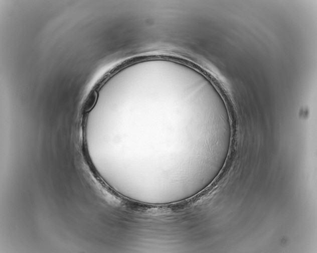 X0000093091368200710241152