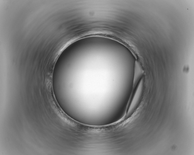 X0000093091369200710241152