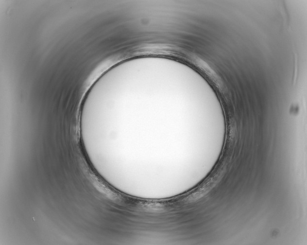 X0000093091370200710241152