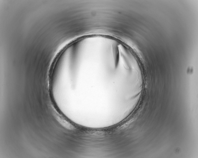 X0000093091372200710241152