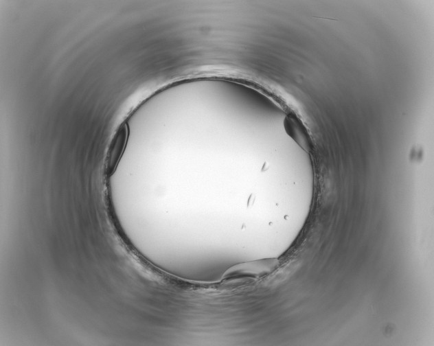 X0000093091373200710241152