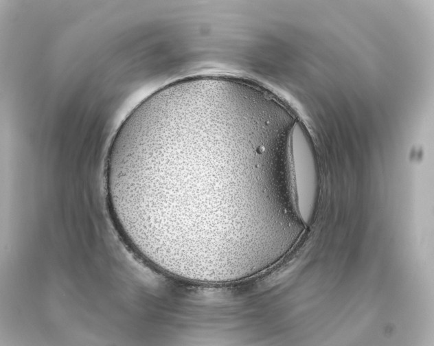 X0000093091375200710241152