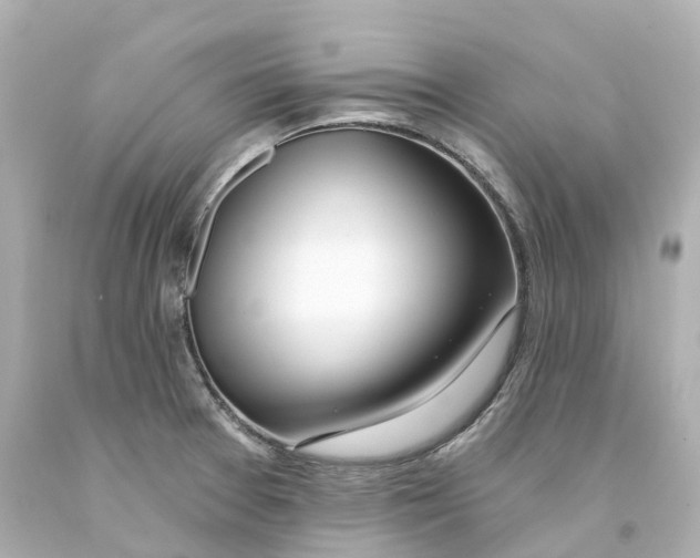 X0000093091377200710241152
