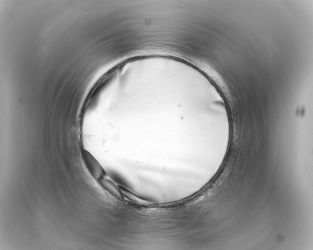 X0000093091380200710241152