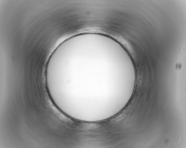 X0000093091382200710241152