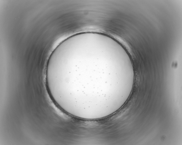 X0000093091383200710241152