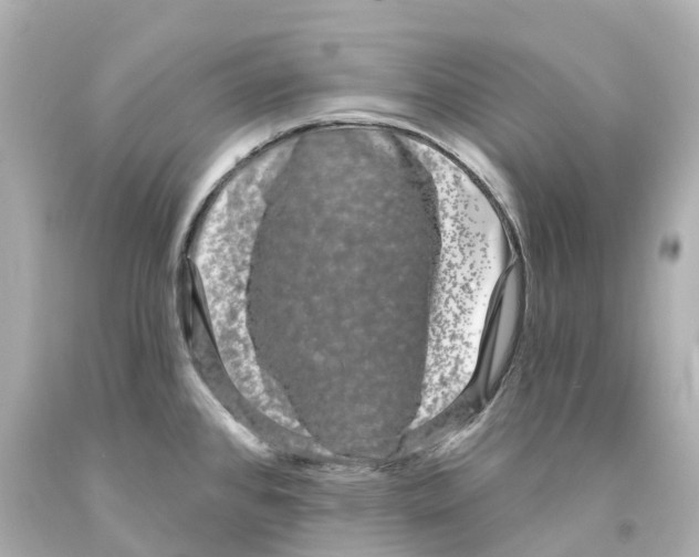 X0000093091384200710241152